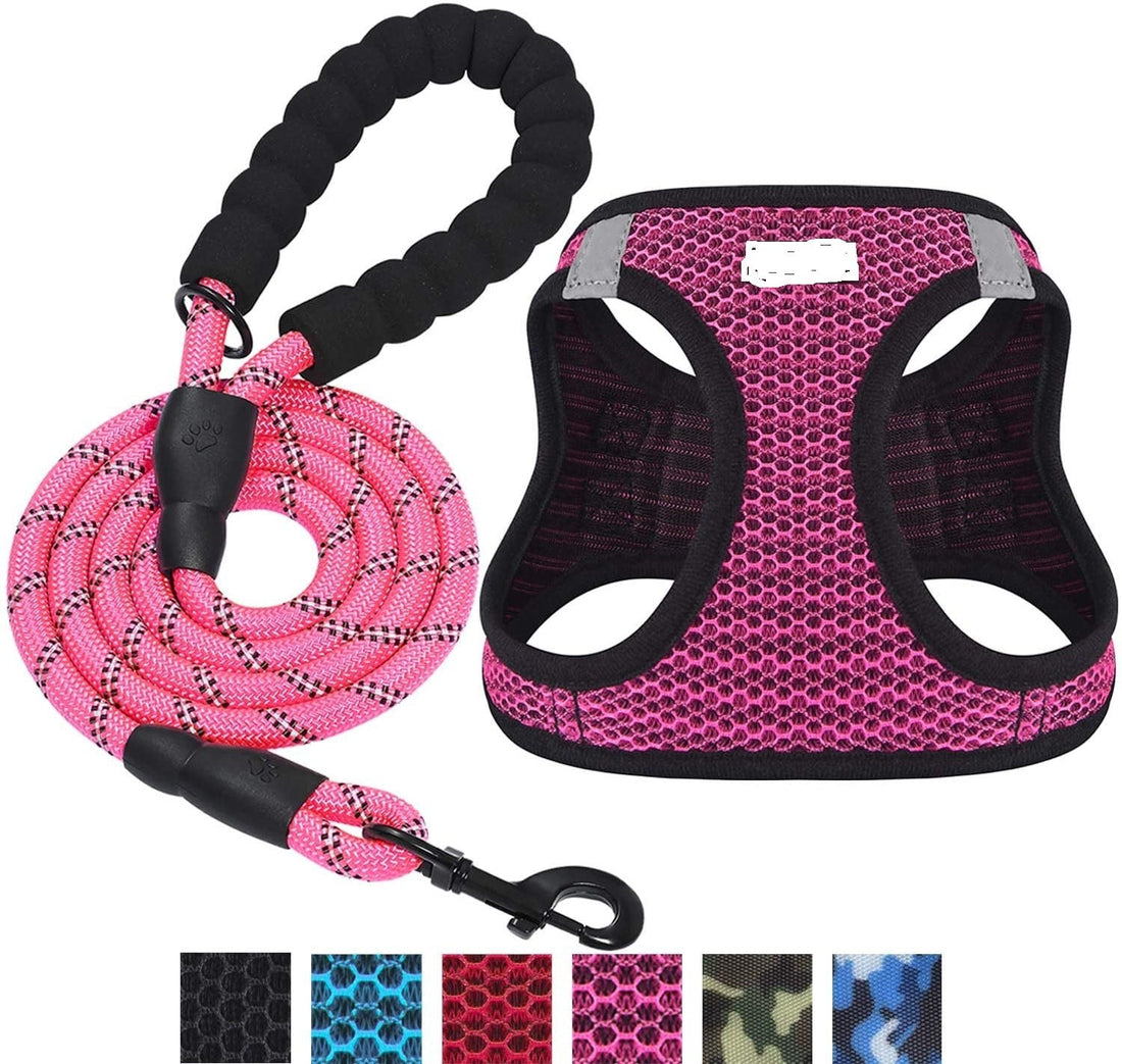 Reflective Harness &amp; Dog Leash