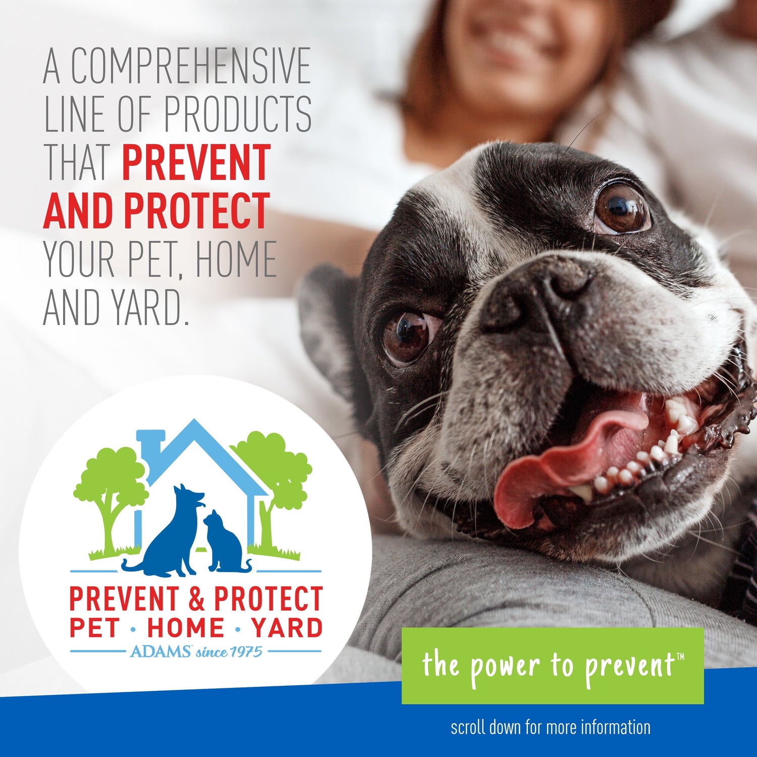 Keep Your Dog Happy and Flea-Free with ADAMS Plus Flea &amp; Tick Foaming Shampoo &amp; Wash - 2 Pack for Sensitive Skin!