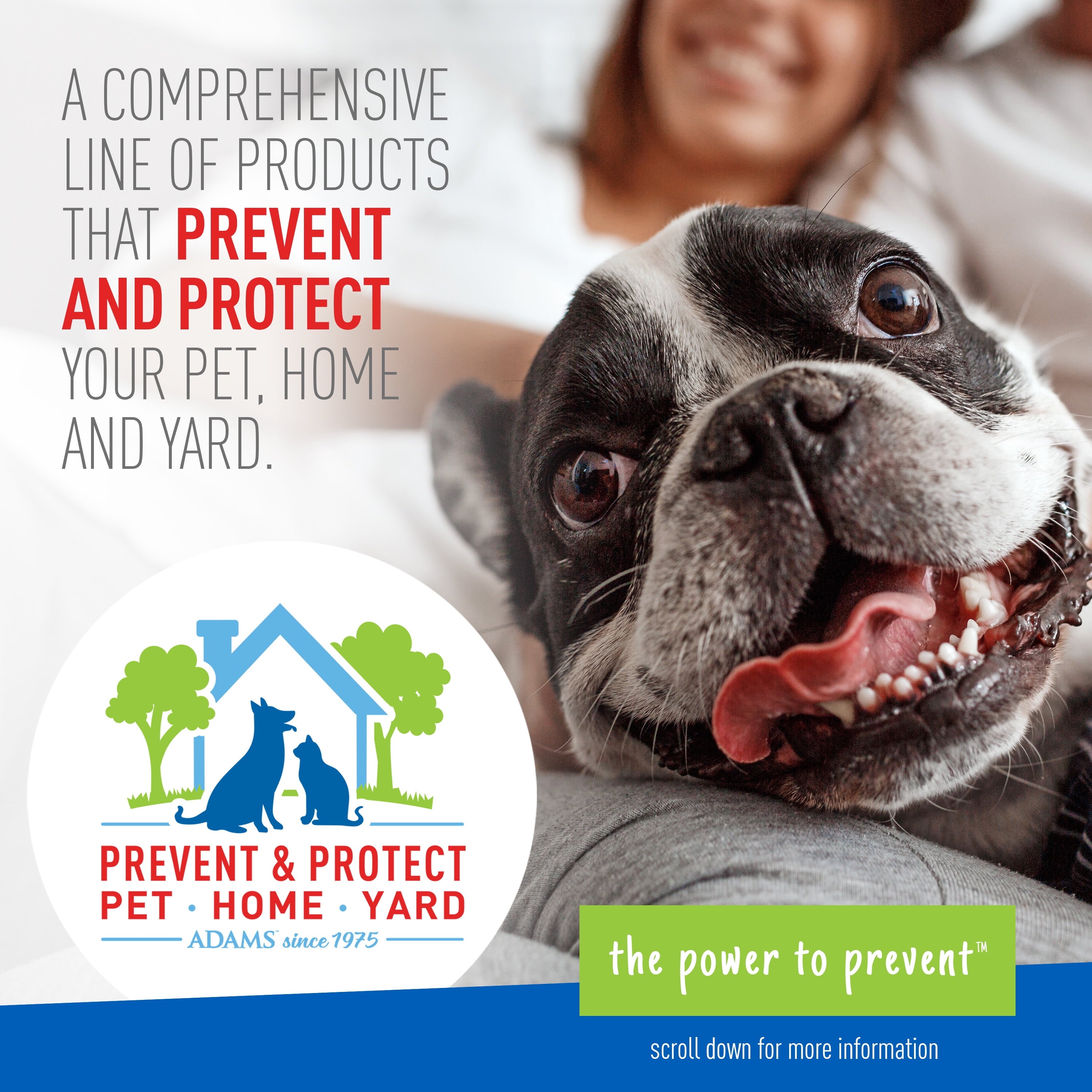 Keep Your Dog Happy and Flea-Free with ADAMS Plus Flea &amp; Tick Foaming Shampoo &amp; Wash - 2 Pack for Sensitive Skin!