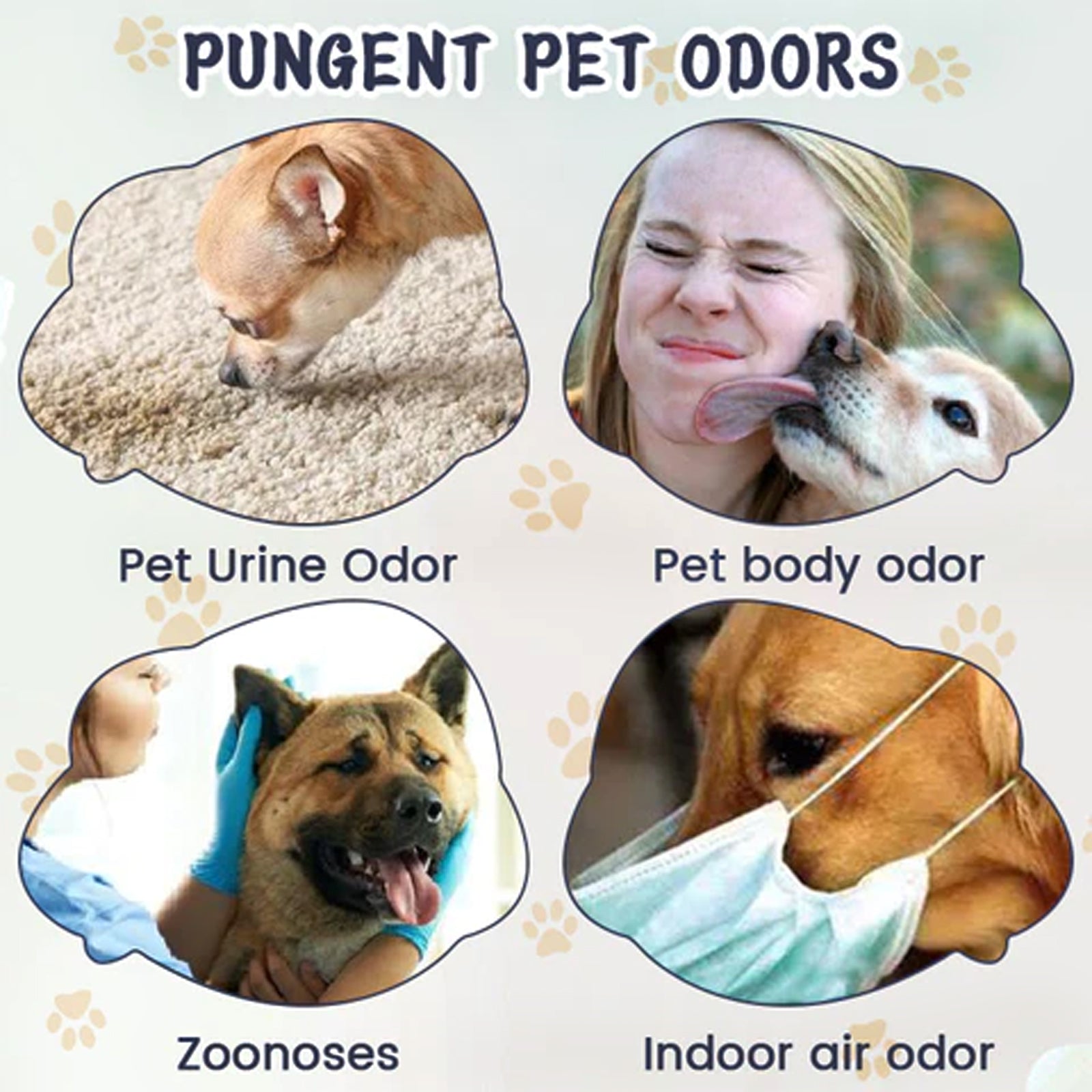 Pet Odor &amp; Stain Eliminator, Clean Dog And Cat Body Odor Feces Odor Removal Indoor Fresh Deodorizer
