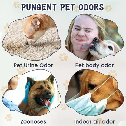 Pet Odor &amp; Stain Eliminator, Clean Dog And Cat Body Odor Feces Odor Removal Indoor Fresh Deodorizer