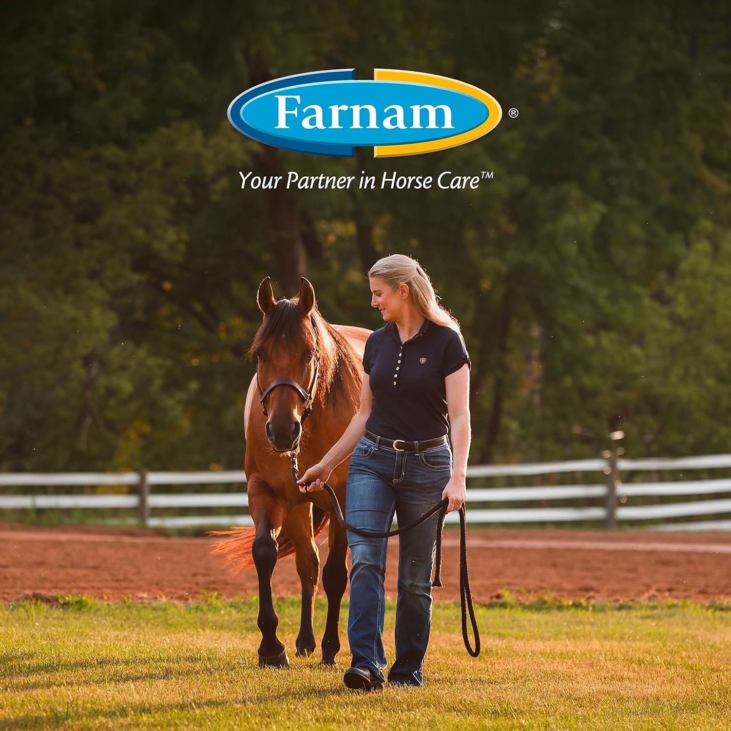 Farnam Bronco Equine Fly Spray Plus Citronella Repellent 32 oz. for Horses &amp; Dogs 2PK