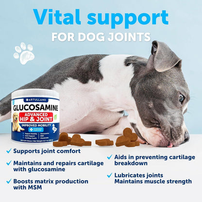 Glucosamine for Dogs Hip &amp; Joint Chews Arthritis Support