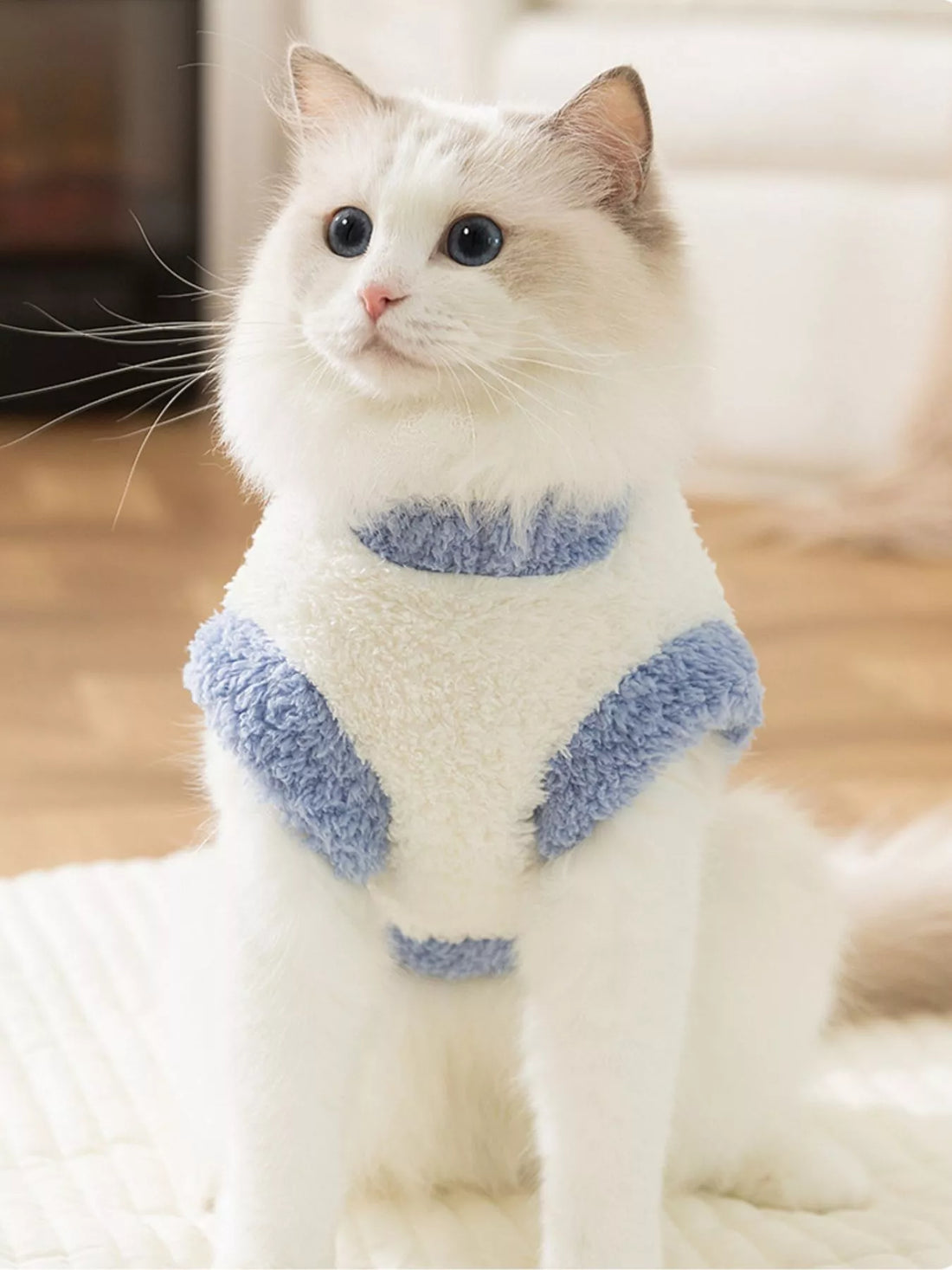 Cozy Plush Pet Sweater with Cute Patch