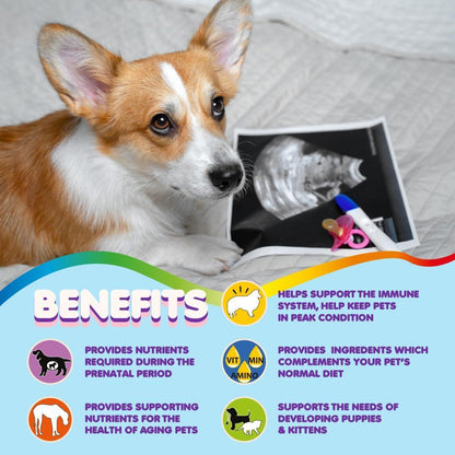 Prenatal Vitamins for Dogs &amp; Cats 60 Pills Folic Acid &amp; Minerals