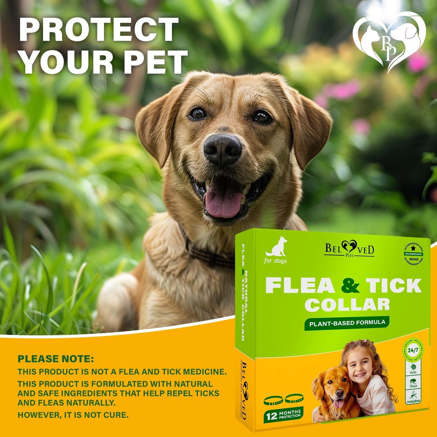 Flea &amp; Tick Collar for Dogs 6-Month Protection Essential Oil 2 Count