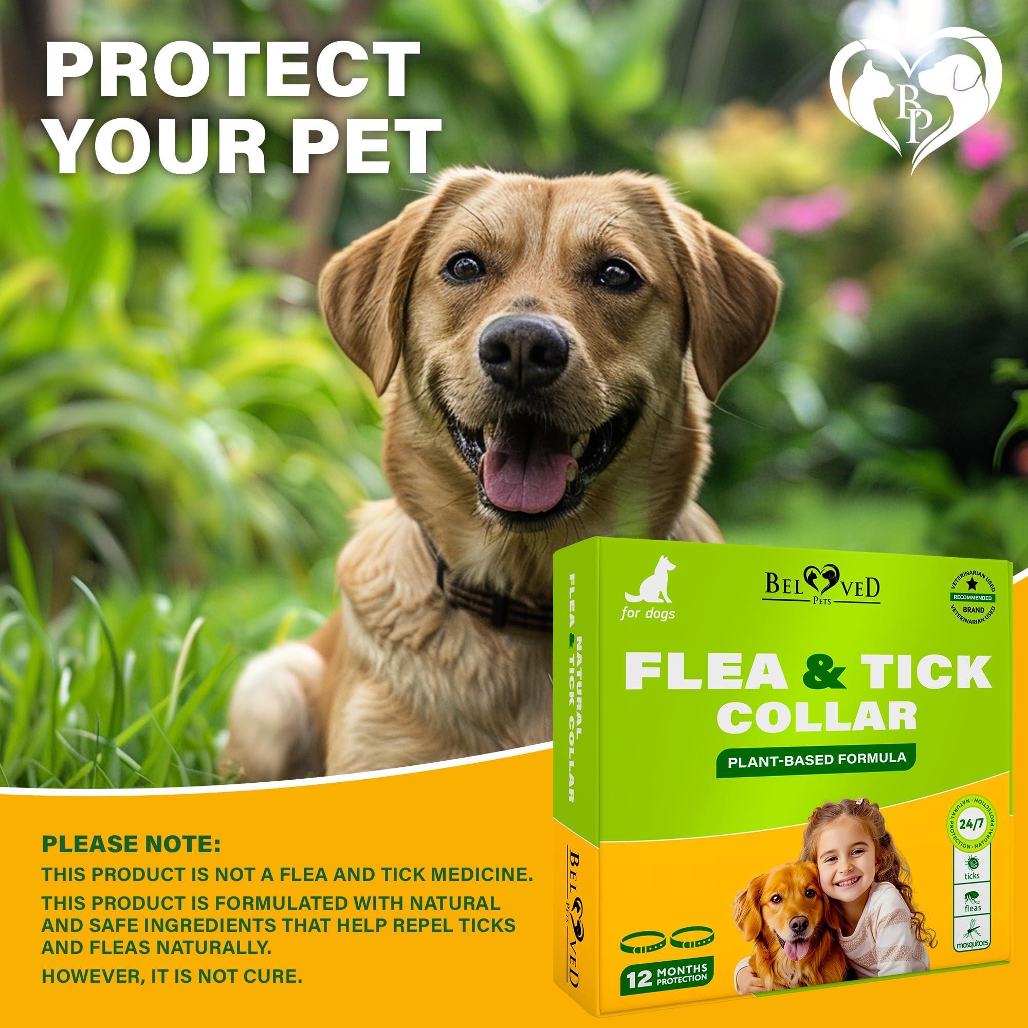 Flea &amp; Tick Collar for Dogs 6-Month Protection Essential Oil 2 Count