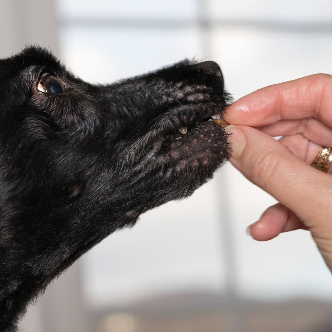 Quail Crunch Bites: Gourmet Dehydrated Dog Treats with Quail Meat &amp; Shells | Premium Healthy Dog Treats for Training | Organic Ingredients for a Happy Palate
