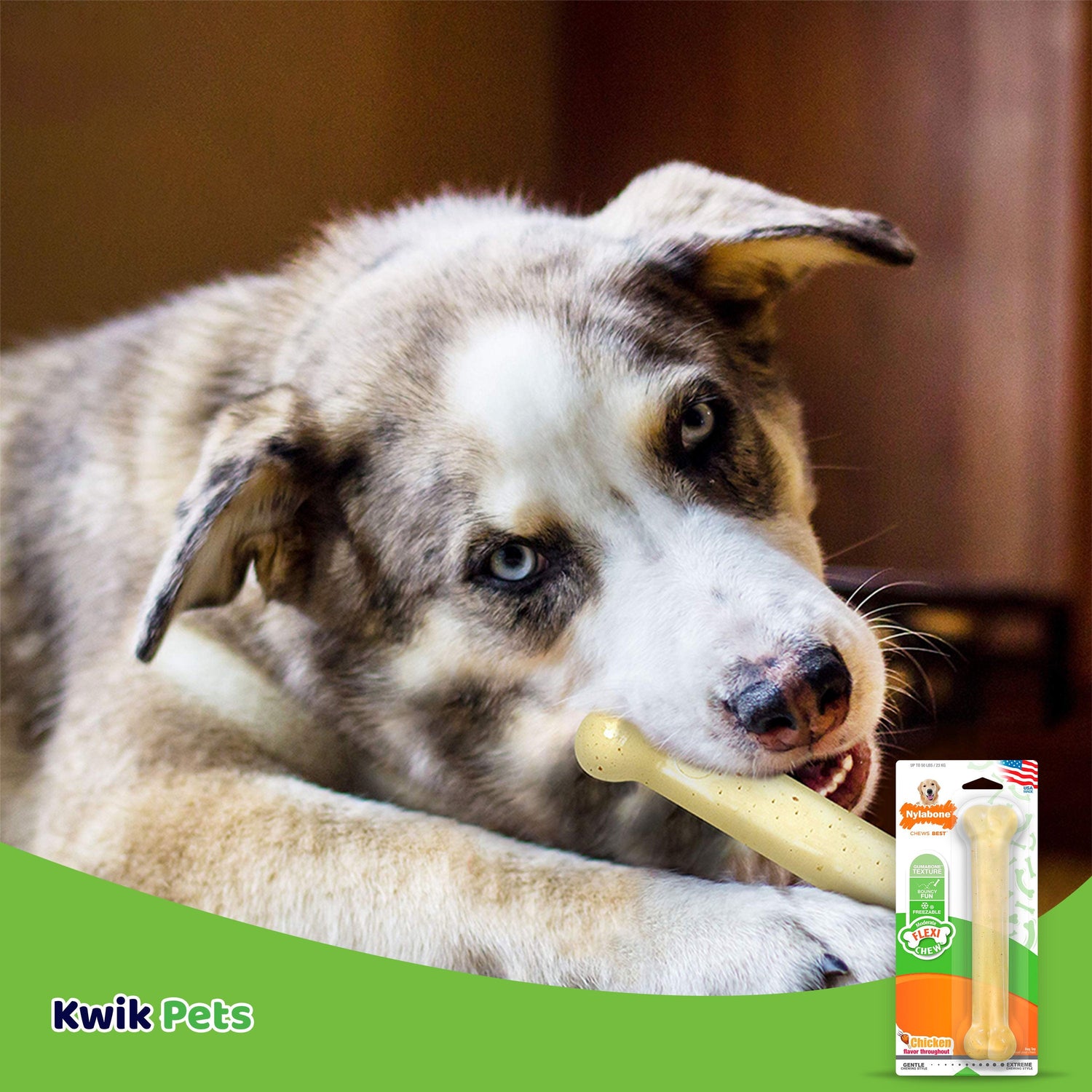 Flexichew Dental Bone Giant Size Chicken Flavored Toy for Large Dogs