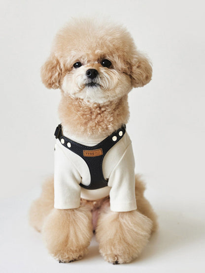 Rivet-Decorated Dog Harness Leash Set