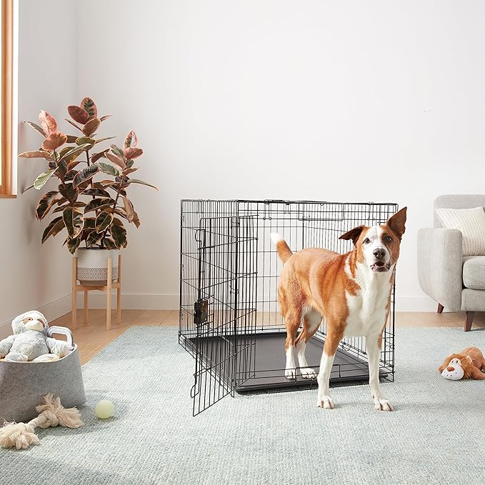 Amazon Basics Durable, Foldable Metal Wire Dog Crate with Tray, Single Door, 42 x 28 x 30 in, Black