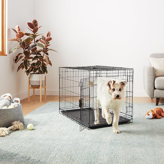 Amazon Basics Durable, Foldable, Collapsible, Portable Metal Wire Dog Crate with Tray, Single Door with Divider Panel, Easy to Assemble &amp; Clean, 36 x 23 x 25 in, Black