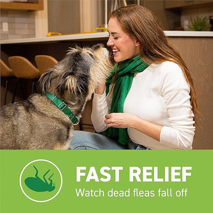 CAPSTAR Oral Flea Treatment for Dogs, Fast Acting Tablets Start Killing Fleas in 30 Minutes, Medium &amp; Large Dogs (Over 25 lbs), 6 Doses