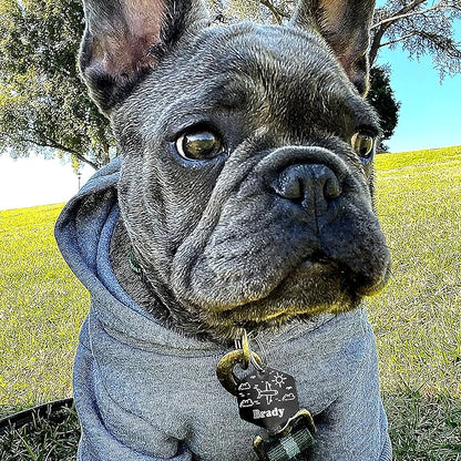 Personalized Dog Tag with 5 Lines of Custom Deep Engraved Durable Stainless Steel Pet ID Name Tag Designer Regular Size Hexagon
