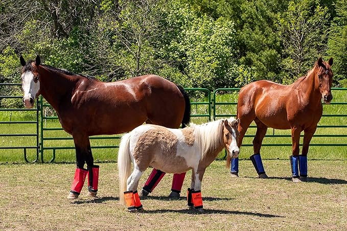 Warrior Fly Boots for Horses - Breathable Mesh Horse Boots for Fly Protection &amp; Leg Comfort - Set of 4 (The Warrior, Neon Orange)