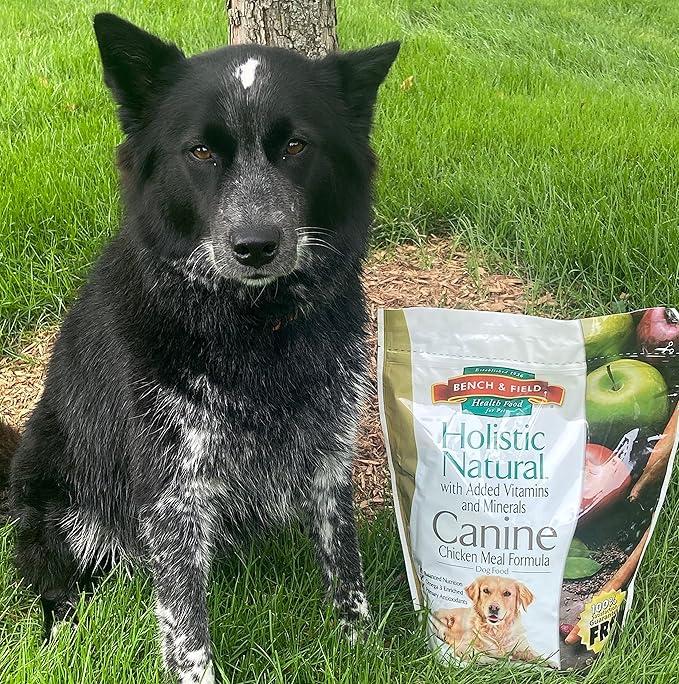 Bench &amp; Field Holistic Natural Adult Dry Dog Food, Chicken Meal and Brown Rice Recipe 6.6 lb Bags (Pack of 4)