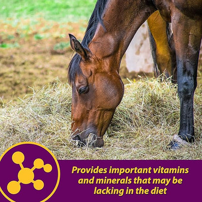 Farnam Horse Health Red Cell Pellets, Vitamin-Iron-Mineral Supplement for Horses, Helps Fill Important Nutritional Gaps in Horse&