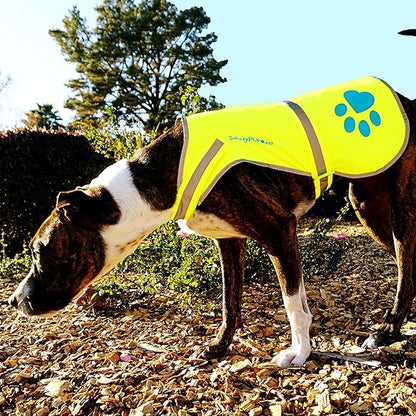 Dog Reflective Vest – Hi-Vis Fluorescent Visibility That Helps to Safeguard Your Pet On/Off Leash in Urban &amp; Rural Areas (Yellow, X-Small)
