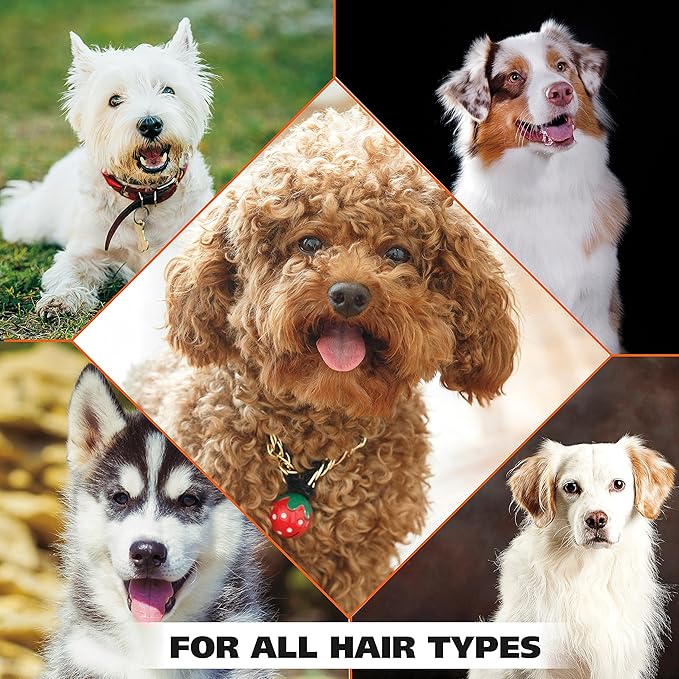 Wahl USA Dry Skin &amp; Itch Relief Pet Shampoo for Dogs – Oatmeal Formula with Coconut Lime Verbena Scent &amp; Pet Friendly Formula, 24 Oz - Model 820004A