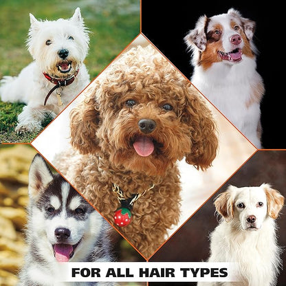 Wahl USA Dry Skin &amp; Itch Relief Pet Shampoo for Dogs – Oatmeal Formula with Coconut Lime Verbena Scent &amp; Pet Friendly Formula, 24 Oz - Model 820004A