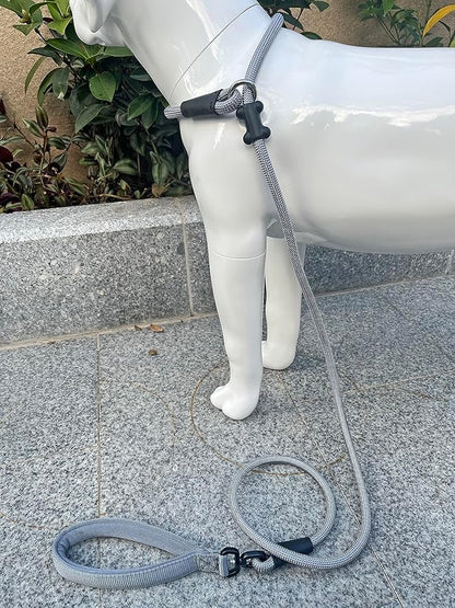 Slip Lead Dog Leash，Strong Nylon Rope Leash and Padded Handle,No Pull Outdoor Walking Training Lead for Small Medium Large Dogs(Grey, 1/2"×6ft)