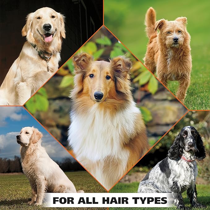 Wahl USA Pet Refresh Cleaning Wipes for All Dog Breeds - Use on Ears, Nose, Paws, Bottom, &amp; Sensitive Areas - 50 Wipes - Model 820017A