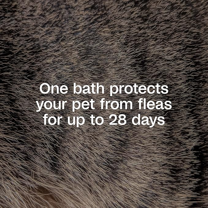 Adams Plus Flea &amp; Tick Shampoo with Precor for Cats, Kittens, Dogs &amp; Puppies Over 12 Weeks Of Age |Sensitive Skin Flea Treatment |Kills Adult Fleas, Flea Eggs, Ticks, and Lice |24 Oz, Pump Included
