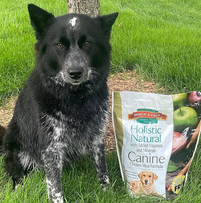 Bench &amp; Field Holistic Natural Adult Dry Dog Food, Chicken Meal and Brown Rice Recipe 6.6 lb Bags (Pack of 2)