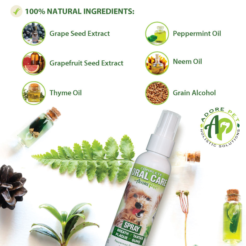 Oral Care Spray