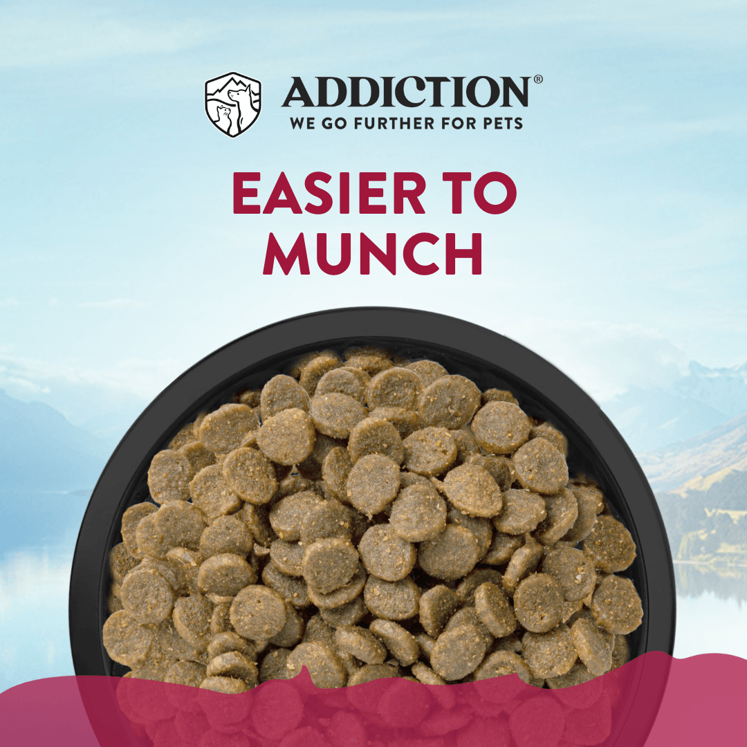 Addiction Viva La Venison Small Breed Dog Food &amp; Meaty Bites Treats Bundle