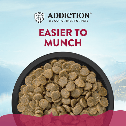 Addiction Viva La Venison Small Breed Dog Food &amp; Meaty Bites Treats Bundle