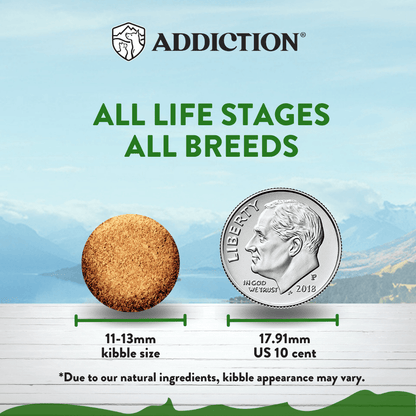Addiction Zen Vegetarian Dog Food &amp; Vegan Treats Bundle