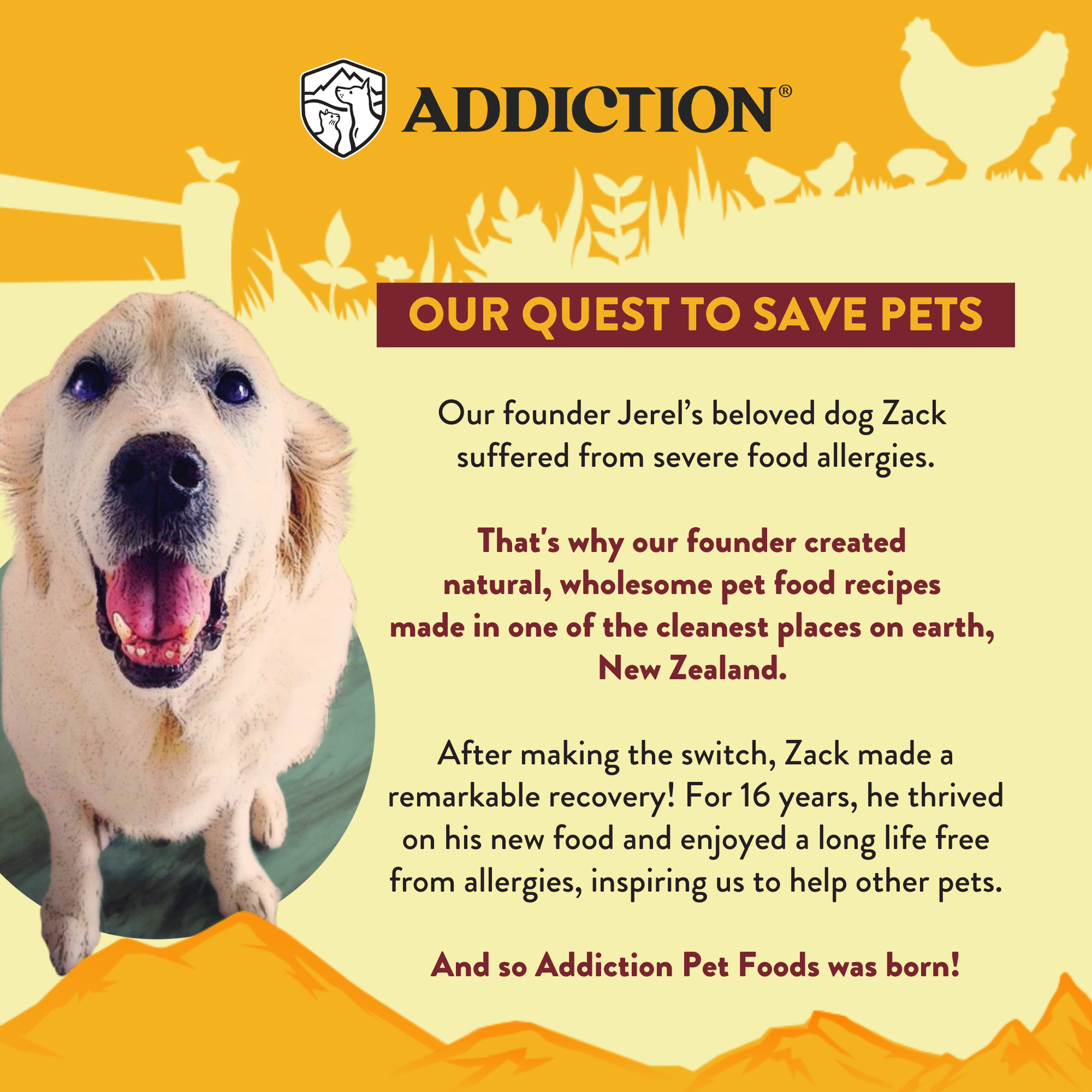 Country Chicken &amp; Apricot Air-Dried Dog Food