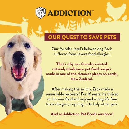 Country Chicken &amp; Apricot Air-Dried Dog Food