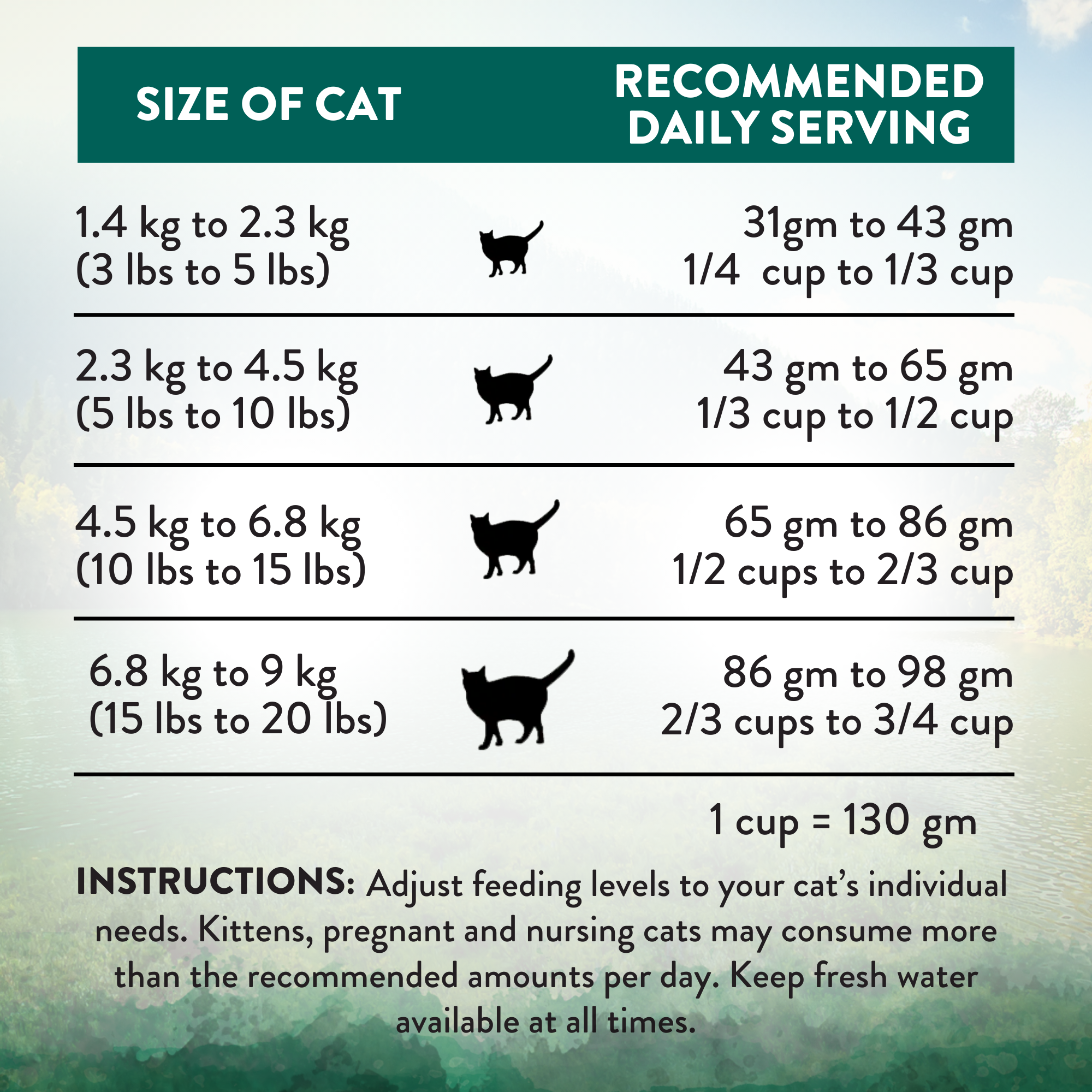 Wild Islands Island Bird Premium Duck Turkey &amp; Chicken Dry Cat Food