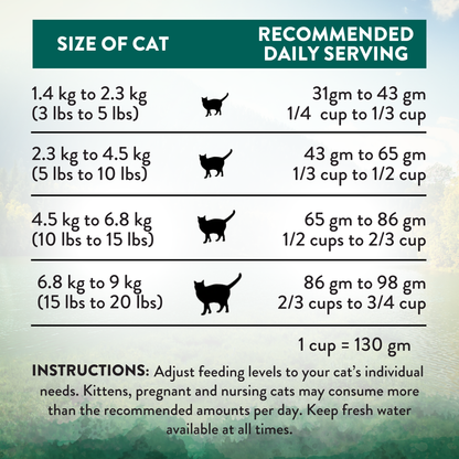 Wild Islands Island Bird Premium Duck Turkey &amp; Chicken Dry Cat Food
