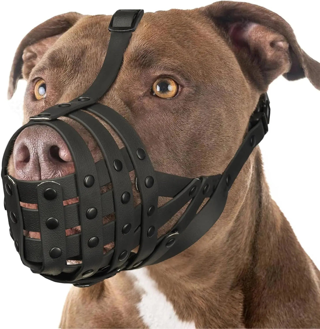 Adjustable Basket Dog Muzzle for Large &amp; Medium Dogs, Lightweight &amp; Breathable