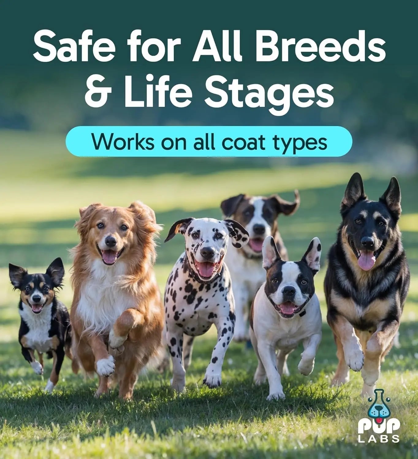 Anti-Itch Pet Skincare Spray for Dogs –Aloe, Rose &amp; Coconut Hot Spot Relief