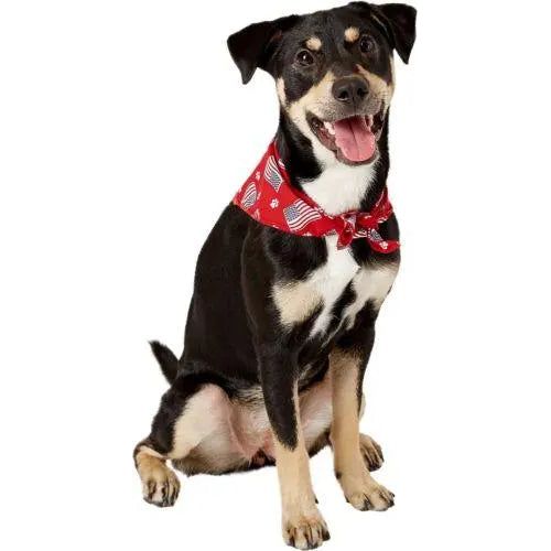 Aria Paws N&