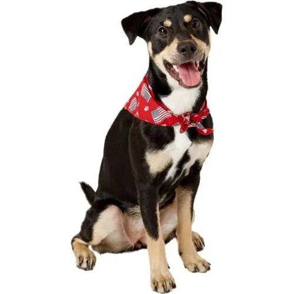 Aria Paws N&