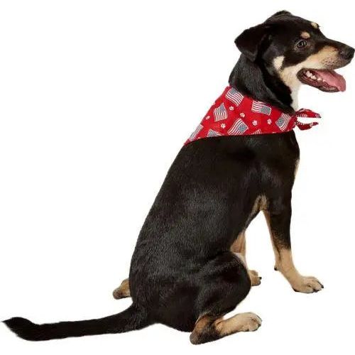 Aria Paws N&