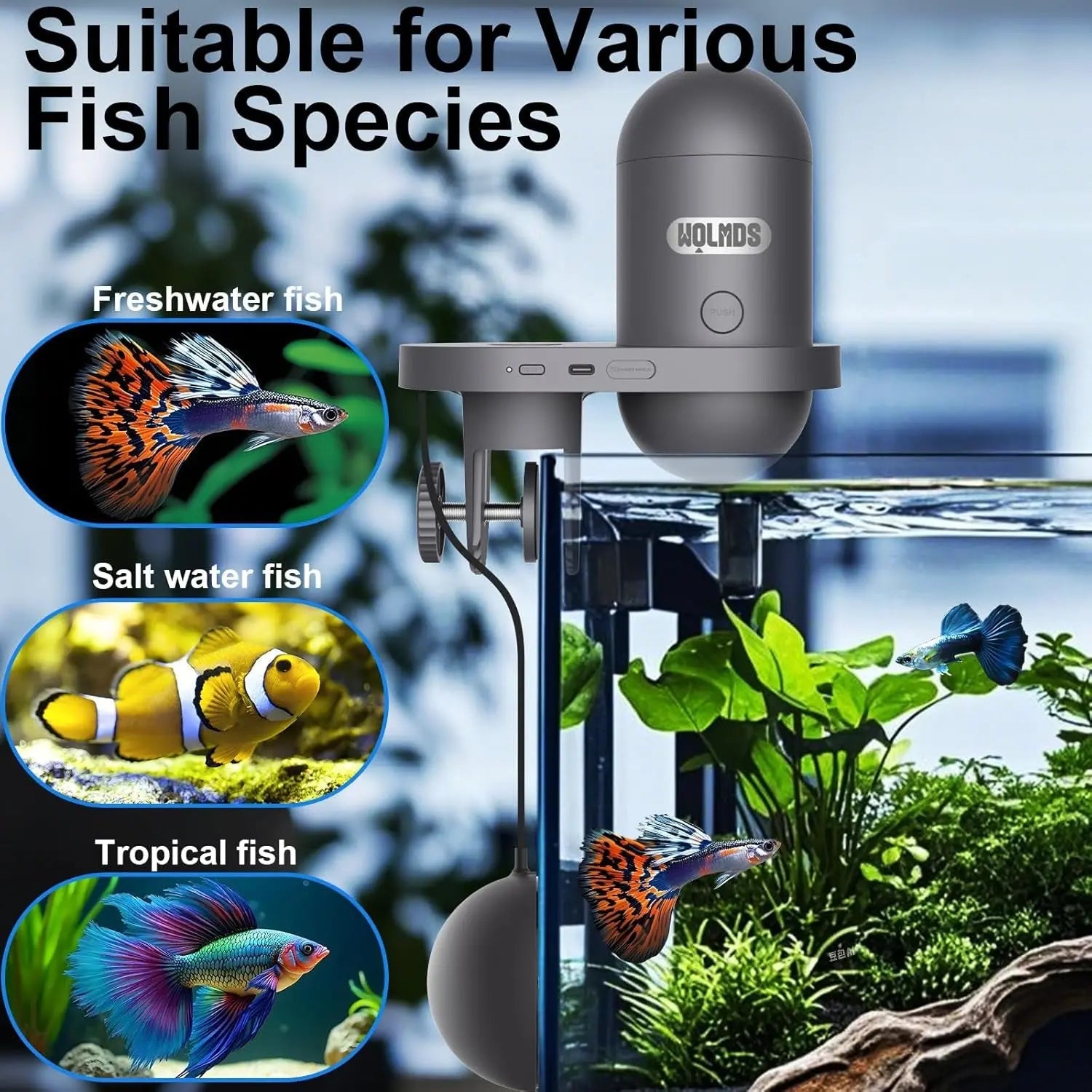 Automatic Fish Feeder WiFi (2.5 &amp; 5G) 2.5K Camera App Control 230ML Tank