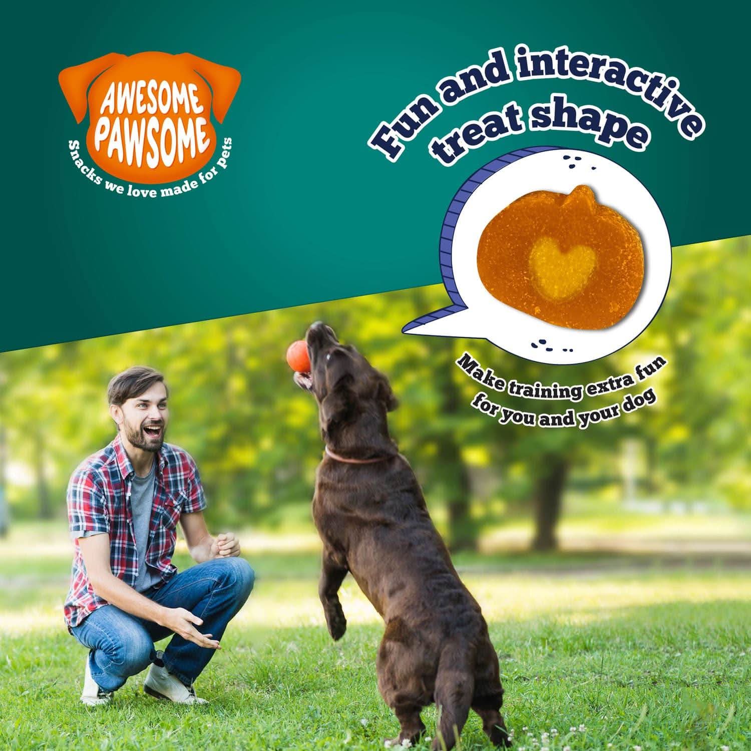 Addiction Zen Vegetarian Dog Food &amp; Vegan Treats Bundle
