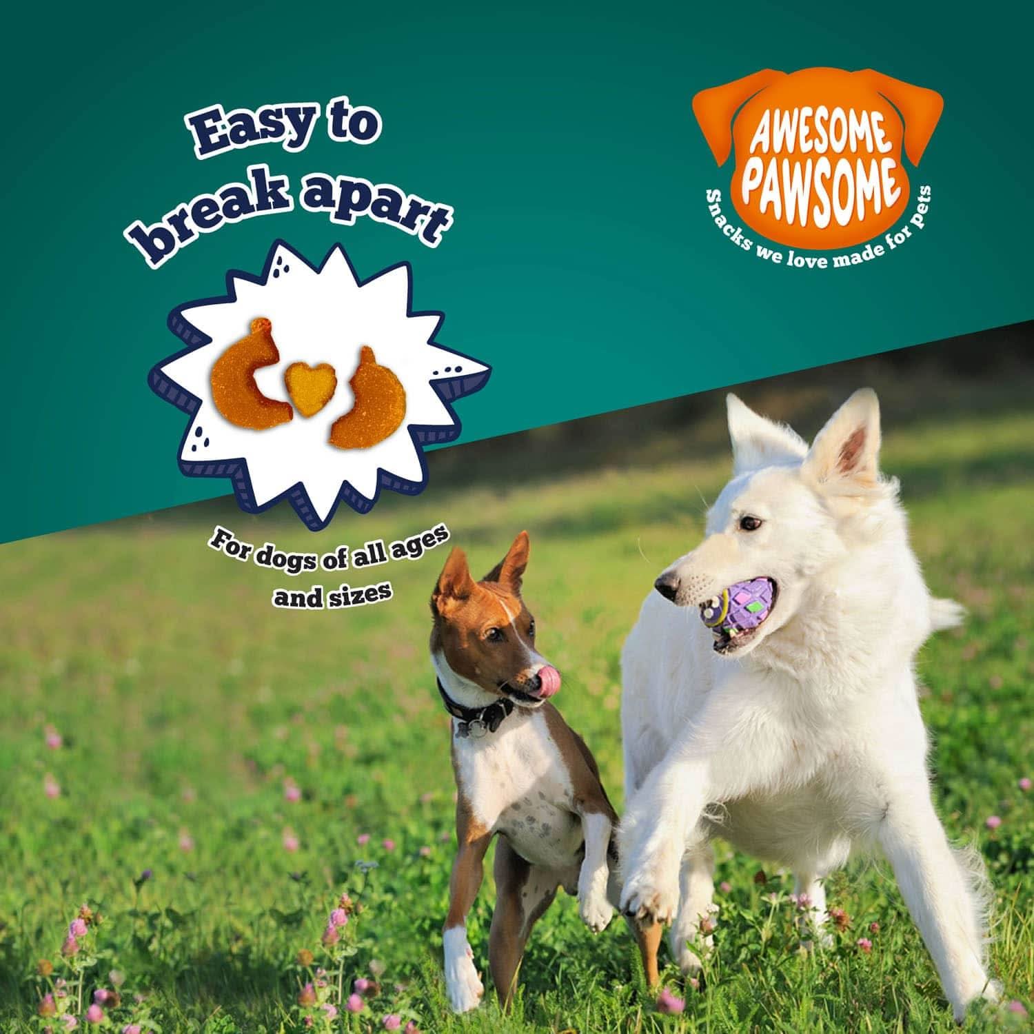 Addiction Zen Vegetarian Dog Food &amp; Vegan Treats Bundle