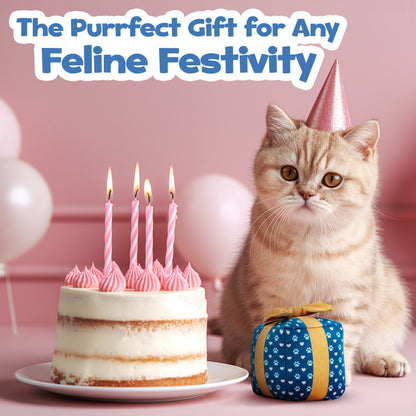 PUPROAR Gift Box Cat Toy | Cute Catnip &amp; Crinkle Birthday Cat Toy