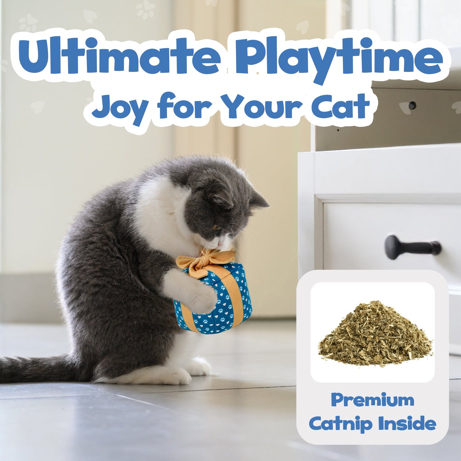 PUPROAR Gift Box Cat Toy | Cute Catnip &amp; Crinkle Birthday Cat Toy