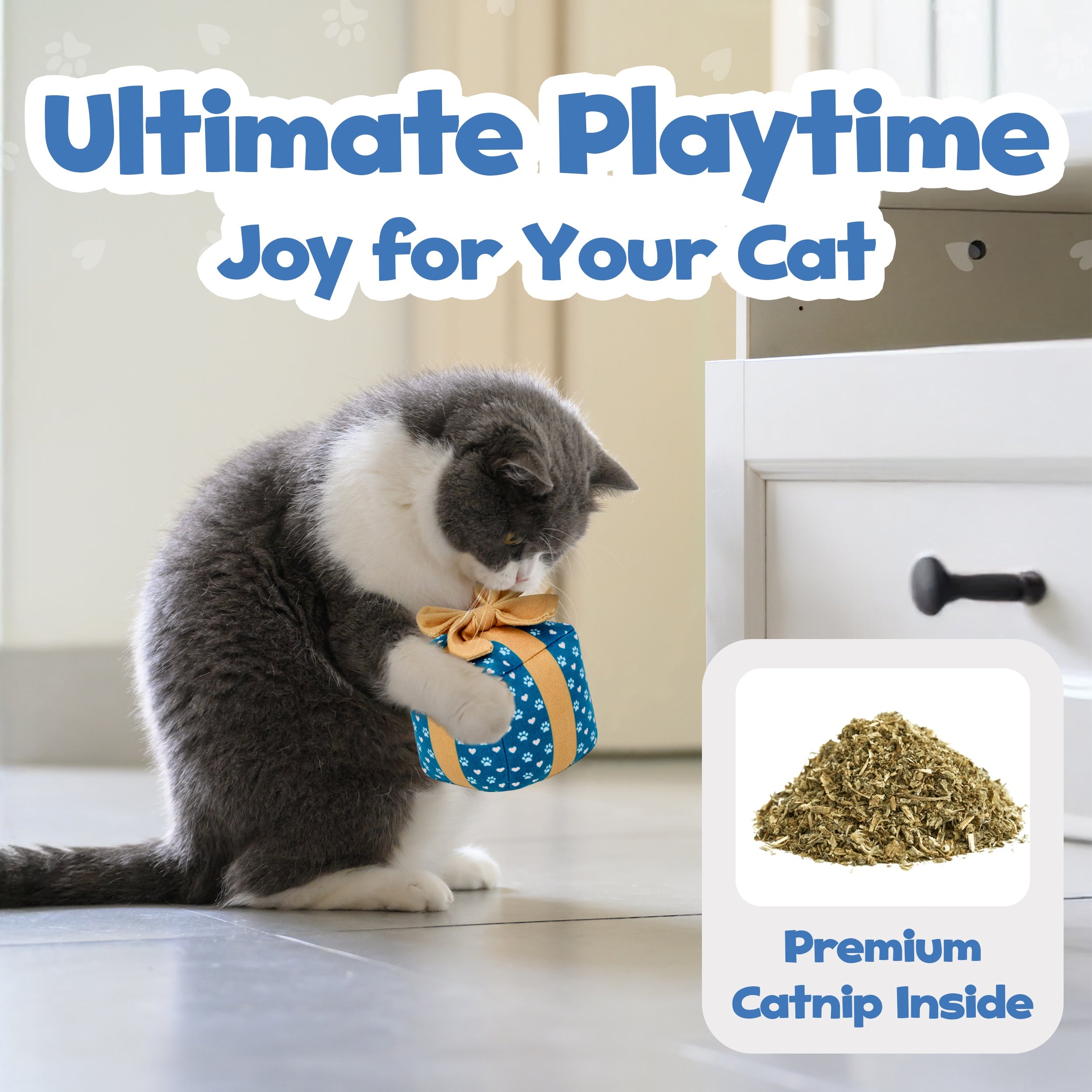 PUPROAR Gift Box Cat Toy | Cute Catnip &amp; Crinkle Birthday Cat Toy