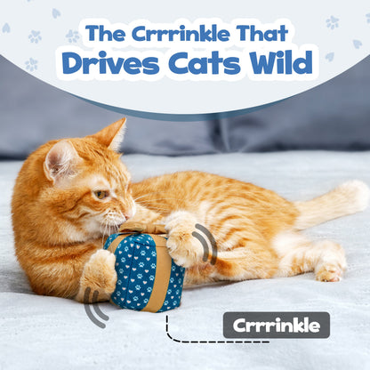 PUPROAR Gift Box Cat Toy | Cute Catnip &amp; Crinkle Birthday Cat Toy