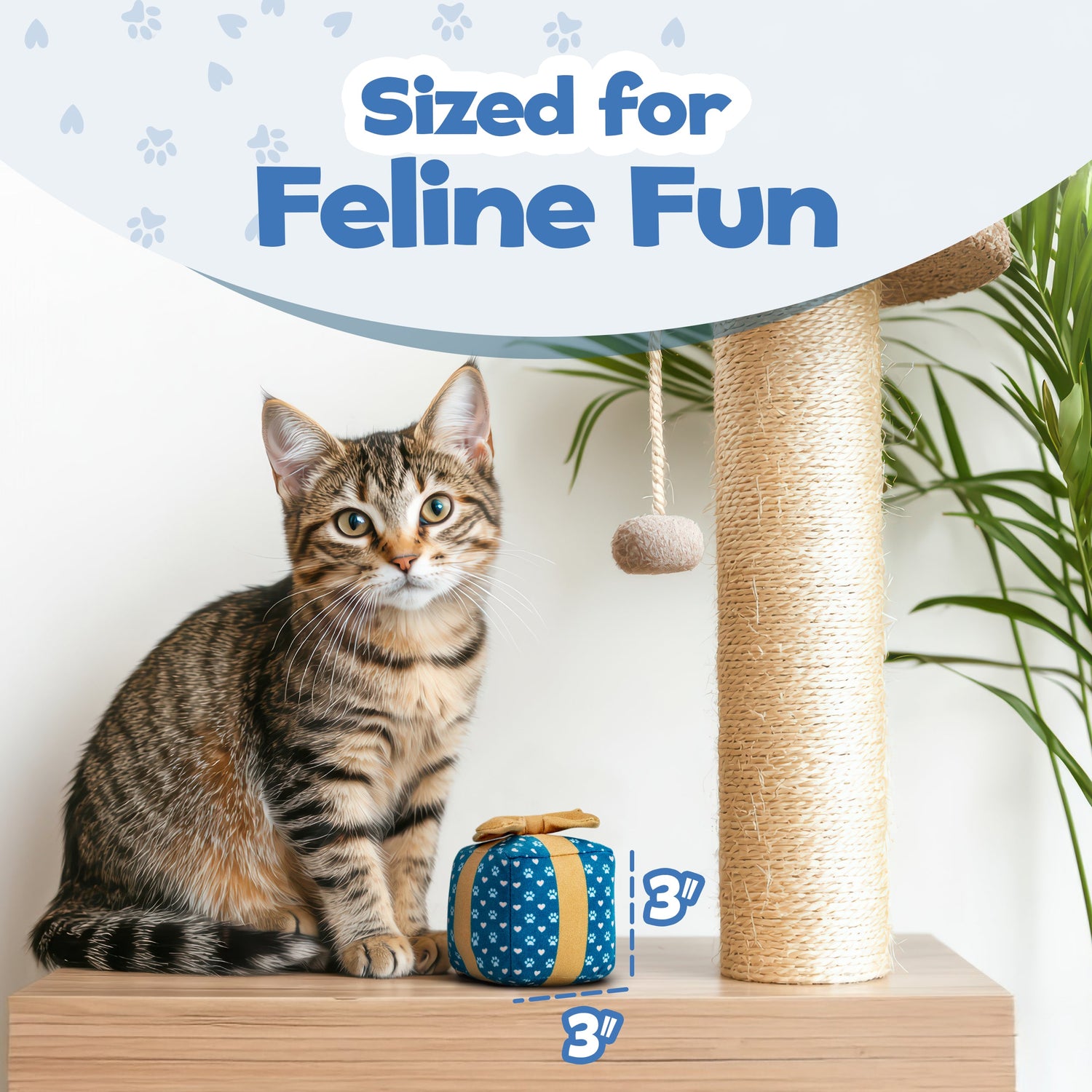PUPROAR Gift Box Cat Toy | Cute Catnip &amp; Crinkle Birthday Cat Toy