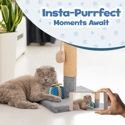 PUPROAR Gift Box Cat Toy | Cute Catnip &amp; Crinkle Birthday Cat Toy